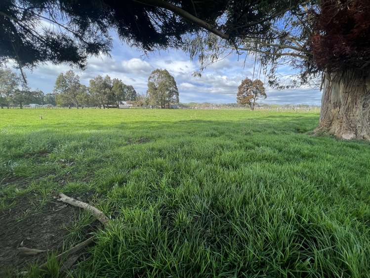 Tutaekara Road Pahiatua_11