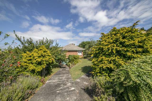 29 Trafalgar Street Onehunga_2