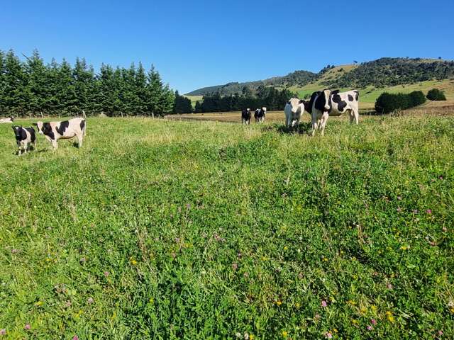 2000 Hillfoot Road Warepa_4