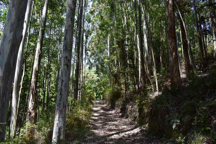1809 Motueka Valley Highway Ngatimoti_23