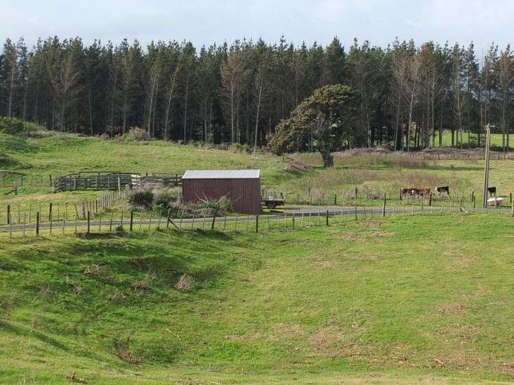 9a Andrews Street Foxton Beach_45