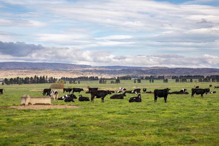 263 Puketoi Runs Road Puketoi_10