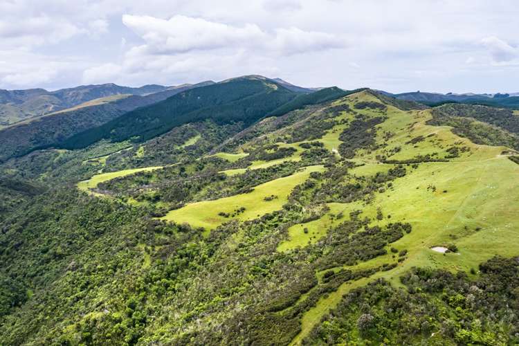 671 Saunders Road Tiraumea_15