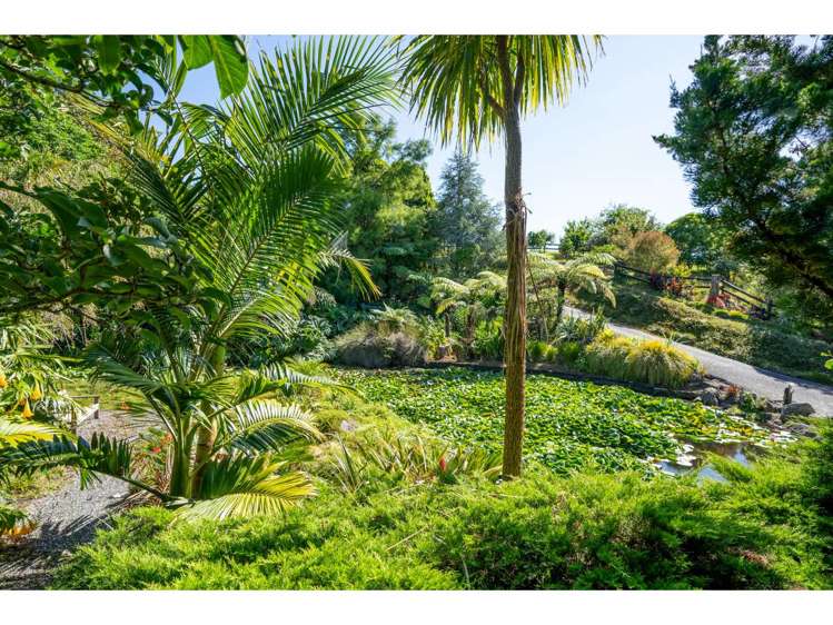 83 Sandys Road Kerikeri Surrounds_7