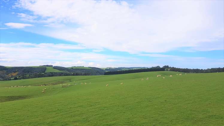 161 Roulston Road Balclutha_9