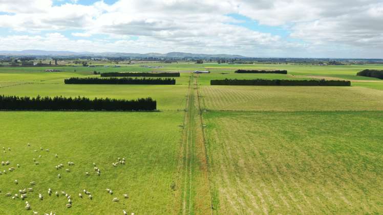 401 Spar Bush School Road_0