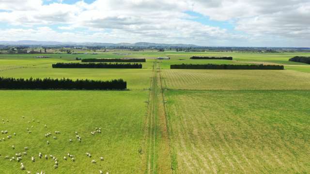 Premium grazing or grass supply block