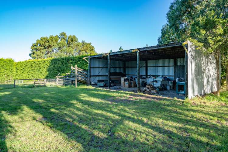 196 Beatties Road Ashley_18