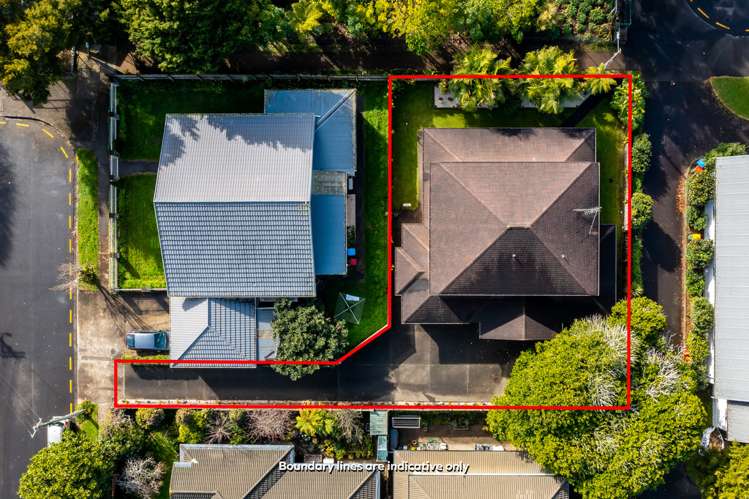 19 Crown Street Royal Oak_21