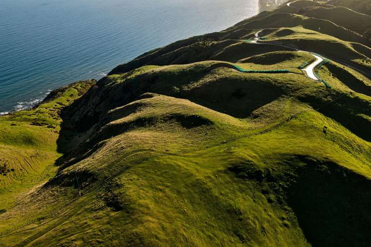 Lot 2,3 and 5/1275 Paekakariki Hill Road Paekakariki Hill_5