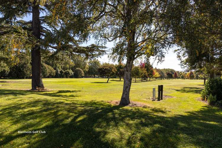 18 Girling Avenue Mayfield_7