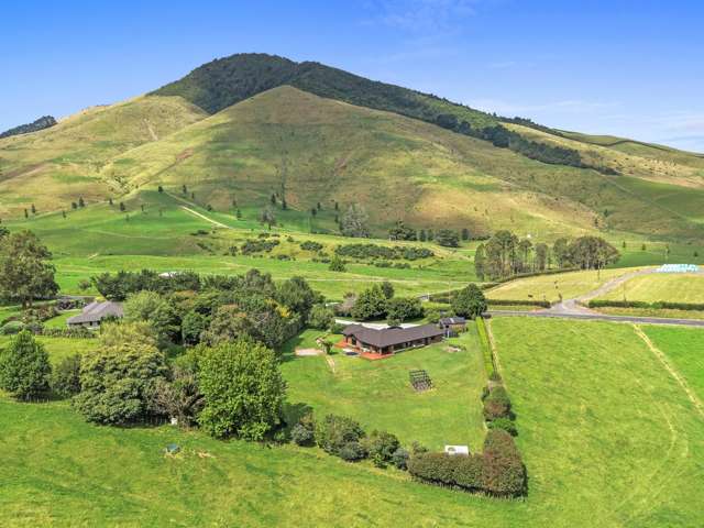 2/994 Pokuru Road Te Awamutu_2