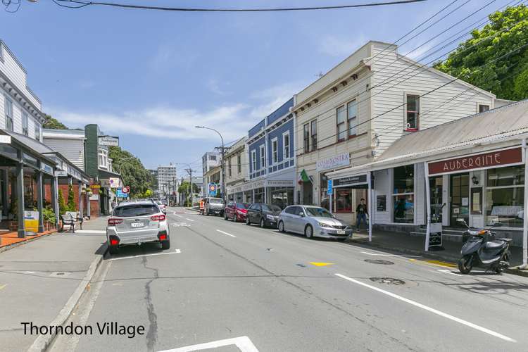 35 Patanga Crescent Thorndon_19