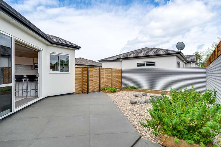 8j Nelson Crescent Napier South_12