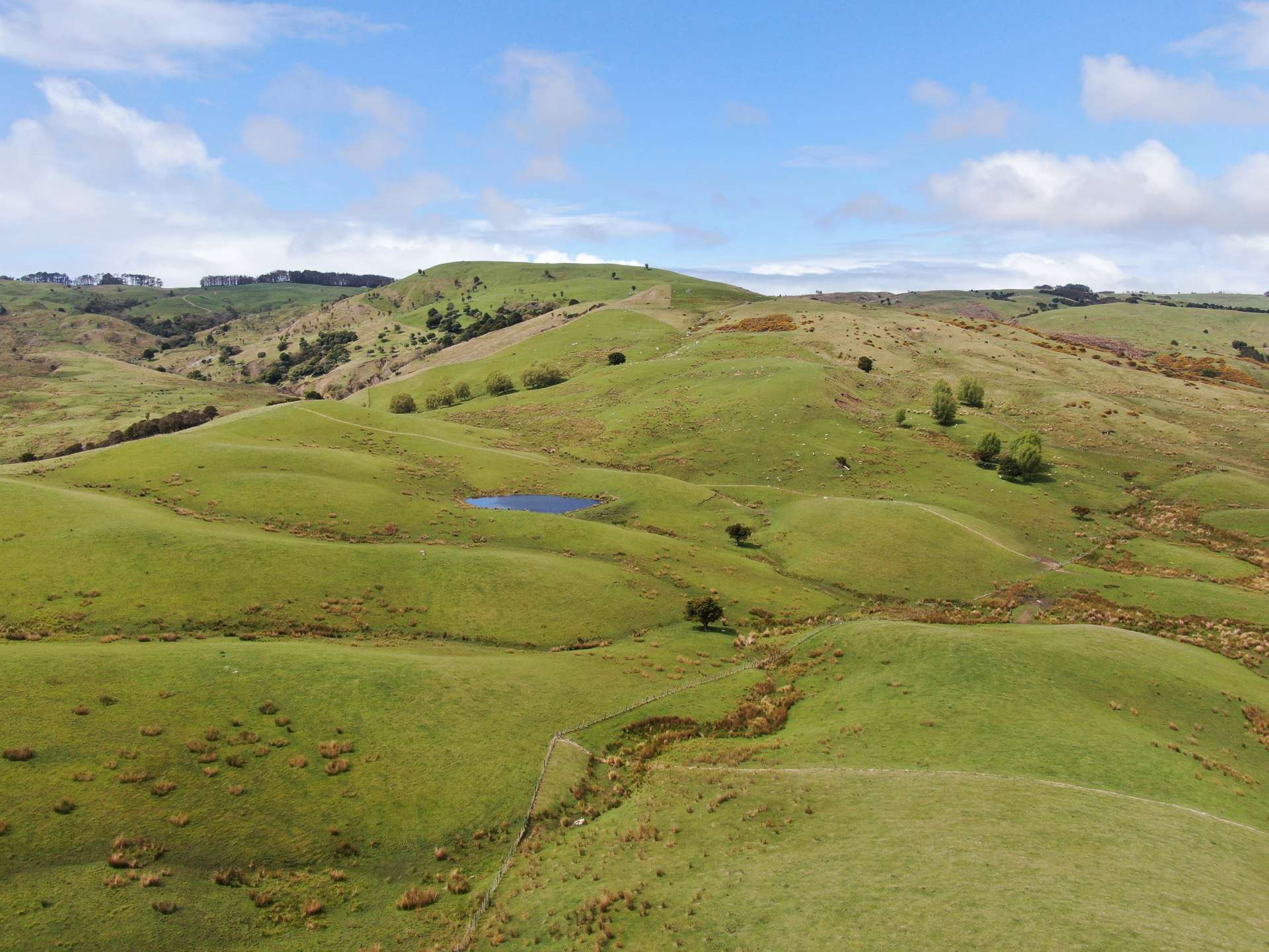 1137 Wimbledon Road Porangahau_0