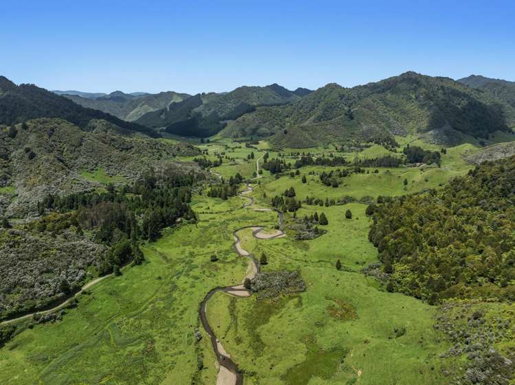 2060 Motu Road Opotiki_15