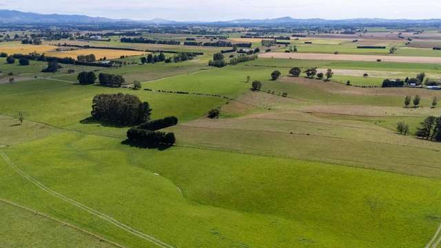 220 Tiffin Road Carterton_1