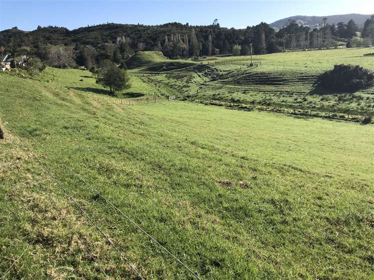 1317 Oruru Road Peria_20