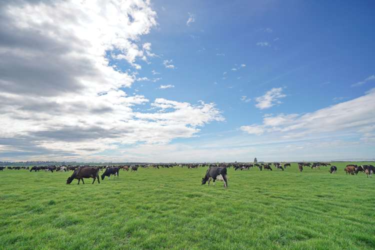 1106 Ardlui Road Hororata_15