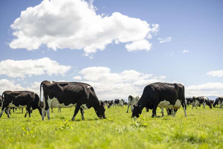 47 Wilson Road Timaru_13