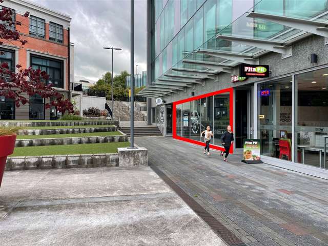 3Bi/109 Ward Street Hamilton Central_2