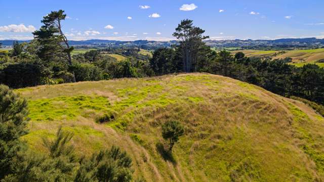 511 Fordyce Road Helensville_3