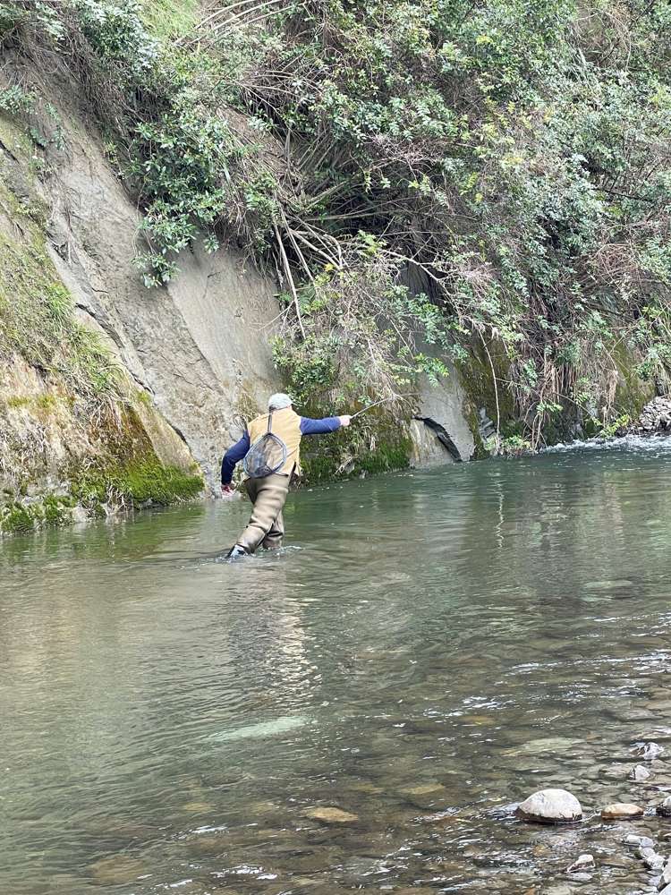 1405 Mangleton Road Central Hawkes Bay Country_33