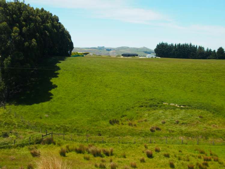 210 Terry Road Gore_6