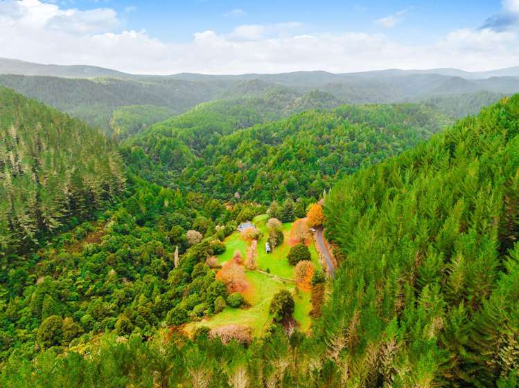 2005 Ongarue Stream Road Waimiha_18