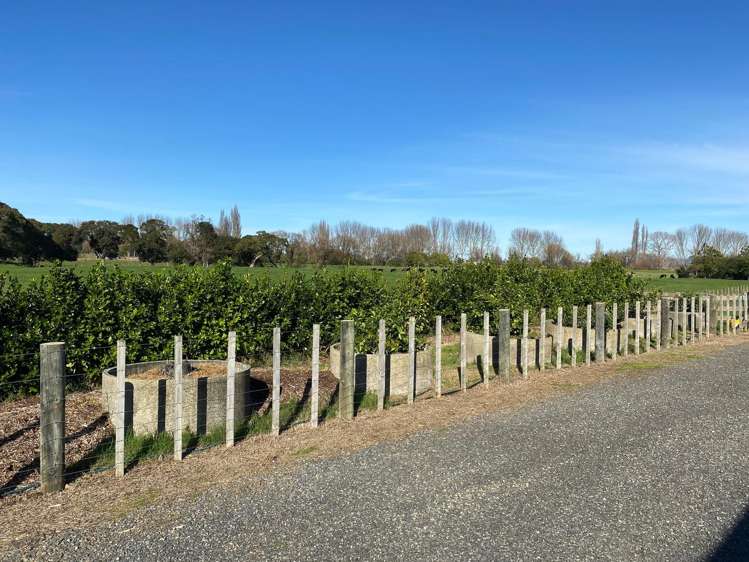 8945 Paeroa Kopu Road Puriri_21
