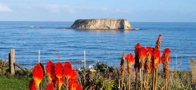 16 Hall Street Motunau_3