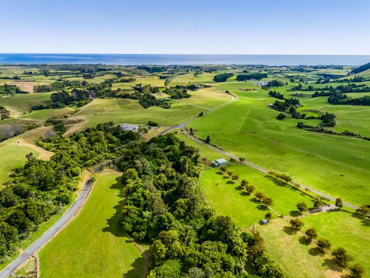 Weld Road Upper Oakura_20