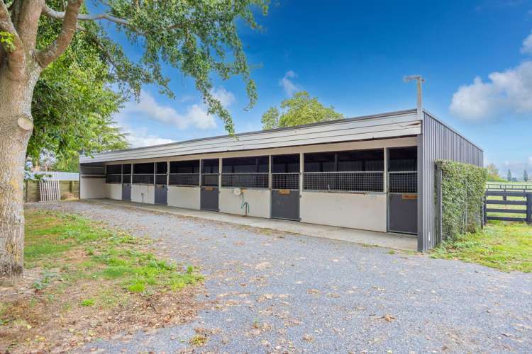 4602A State Highway 29 Matamata_14
