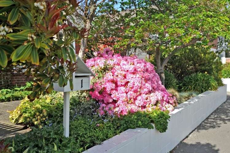 1 Sandringham Street Saint Clair_16