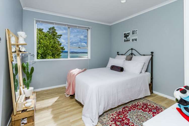 61 Rosecamp Road Beach Haven_11