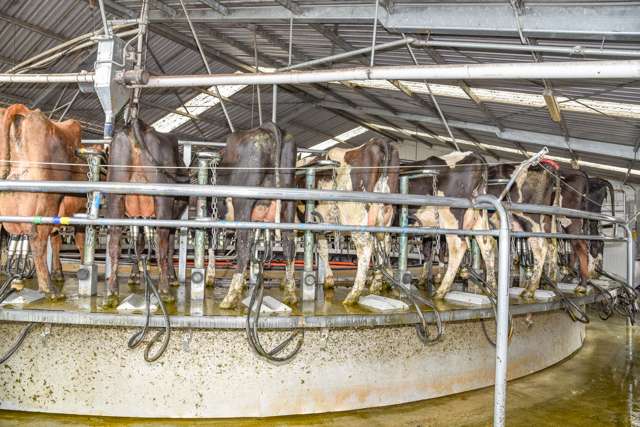 106 Rotherham Road South Culverden_3