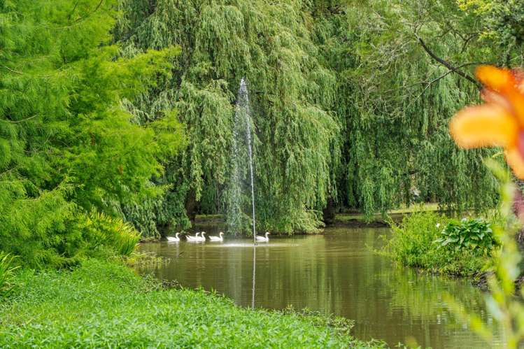 30 Old Kaipara Road Kaipara Flats_20