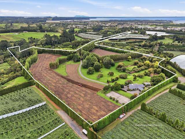 Premium Lifestyle | Prime Kiwifruit Land