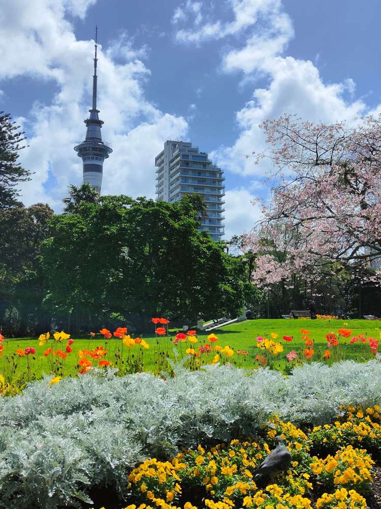 1802/6 Lorne Street Auckland Central_20