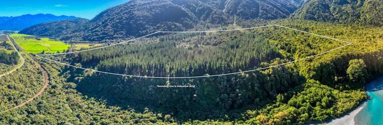 Bell Hill Road Inchbonnie_7