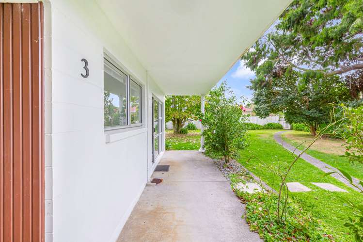 3/50 Te Kanawa Crescent Henderson_11