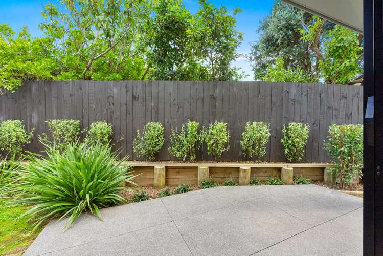 1 Ara Reti Mangere Bridge_15