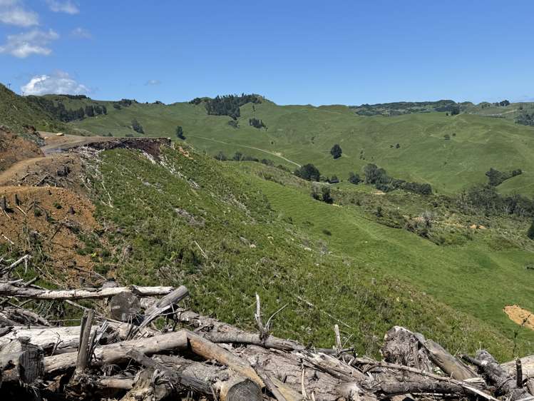 Lot 4 Brown Road Kawhia_14