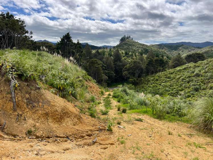 Lot 23 Waiotehue Road Herekino_11