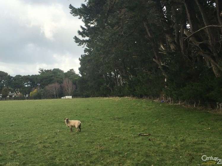 702 Kumeti Road Dannevirke_22