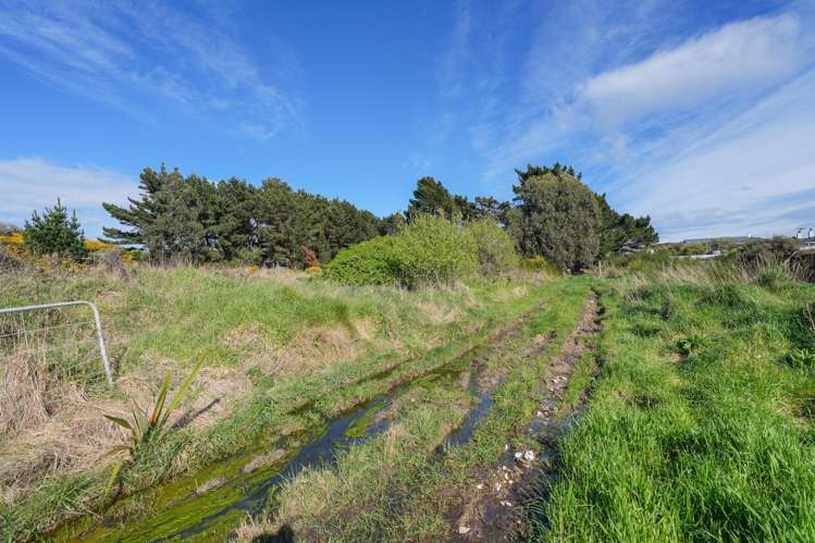65 Suir Street Bluff_17