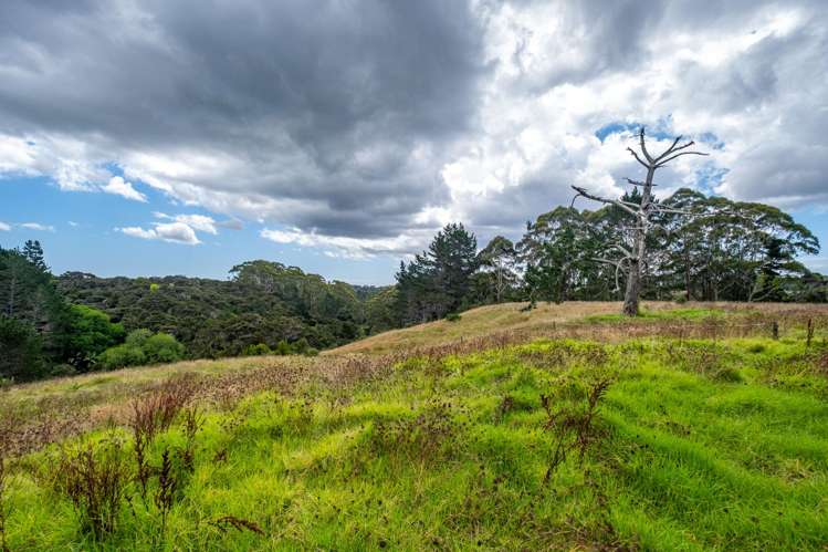 5796 State Highway 10, Kareponia Awanui_14