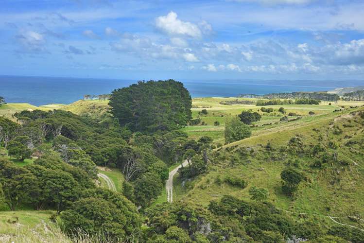 2346 Mahia East Coast Road Mahia_12