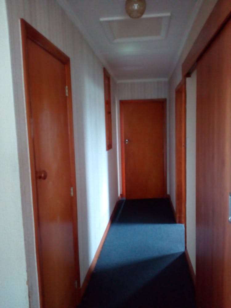 3 Rimu Street Matamata_5