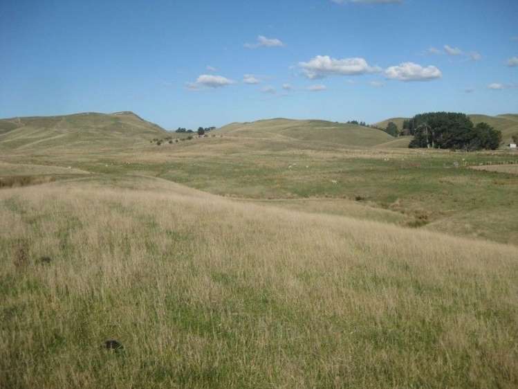 1 Akaroa Road Pongaroa_9